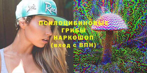 индика Горнозаводск