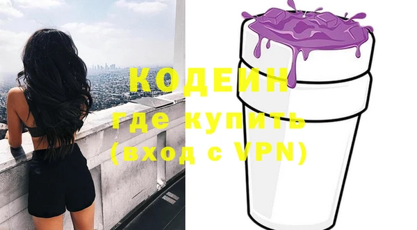индика Бабаево