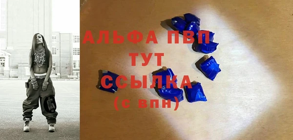 индика Бабаево