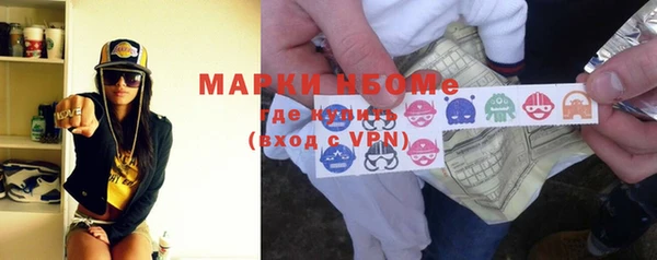индика Горнозаводск