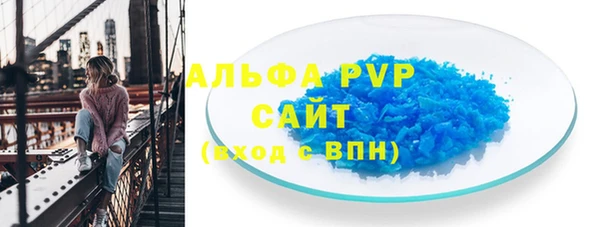 индика Горнозаводск