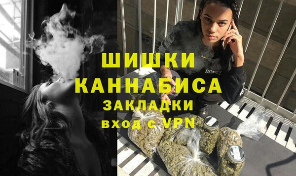 индика Горнозаводск