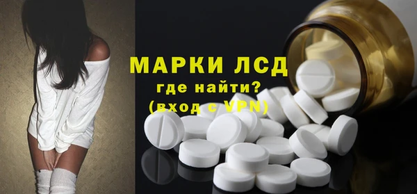 индика Горнозаводск