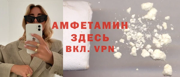 индика Горнозаводск