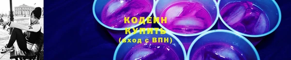 индика Горнозаводск