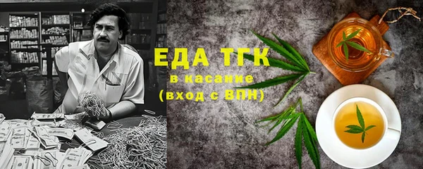 индика Горнозаводск