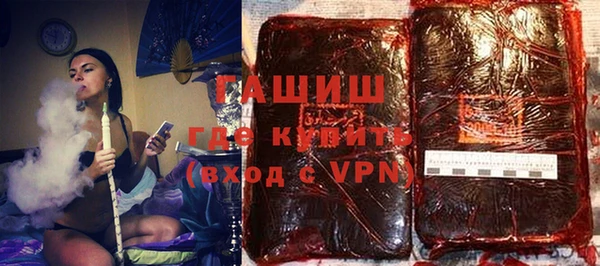 индика Горнозаводск