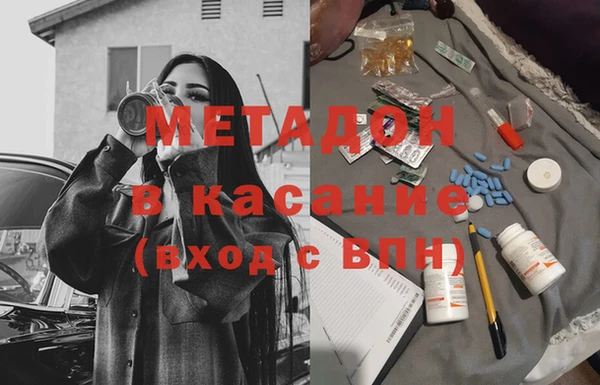 индика Горнозаводск