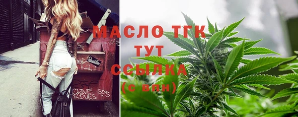 индика Горнозаводск