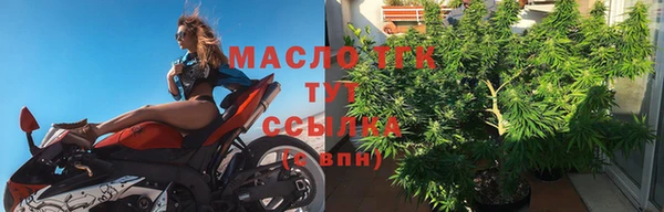 индика Горнозаводск