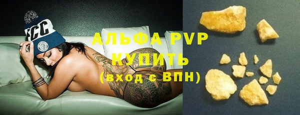 индика Горнозаводск