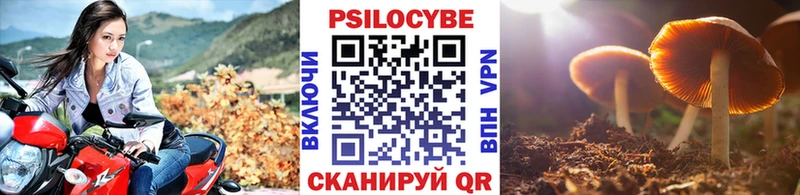 Псилоцибиновые грибы MAGIC MUSHROOMS  Железногорск-Илимский 